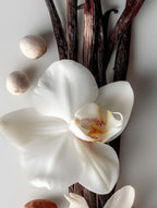 Aromatizante de Hogar en Spray: Vainilla & Wood