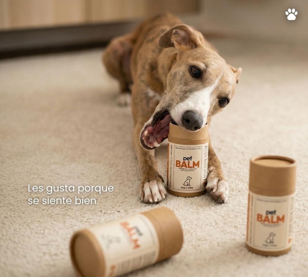 Pet Balm 60gr. — Hidratación simple para quienes más quieres