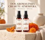 Kit Aromatizantes Pumpkin 60ml Y Cempasúchil 60 ml