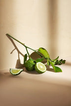 Aromatizante de Hogar en Spray: Bergamota Essenza di Sole 250ml.