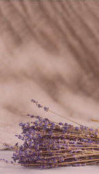 Aromatizante de Hogar en Spray: Lavanda Herbal